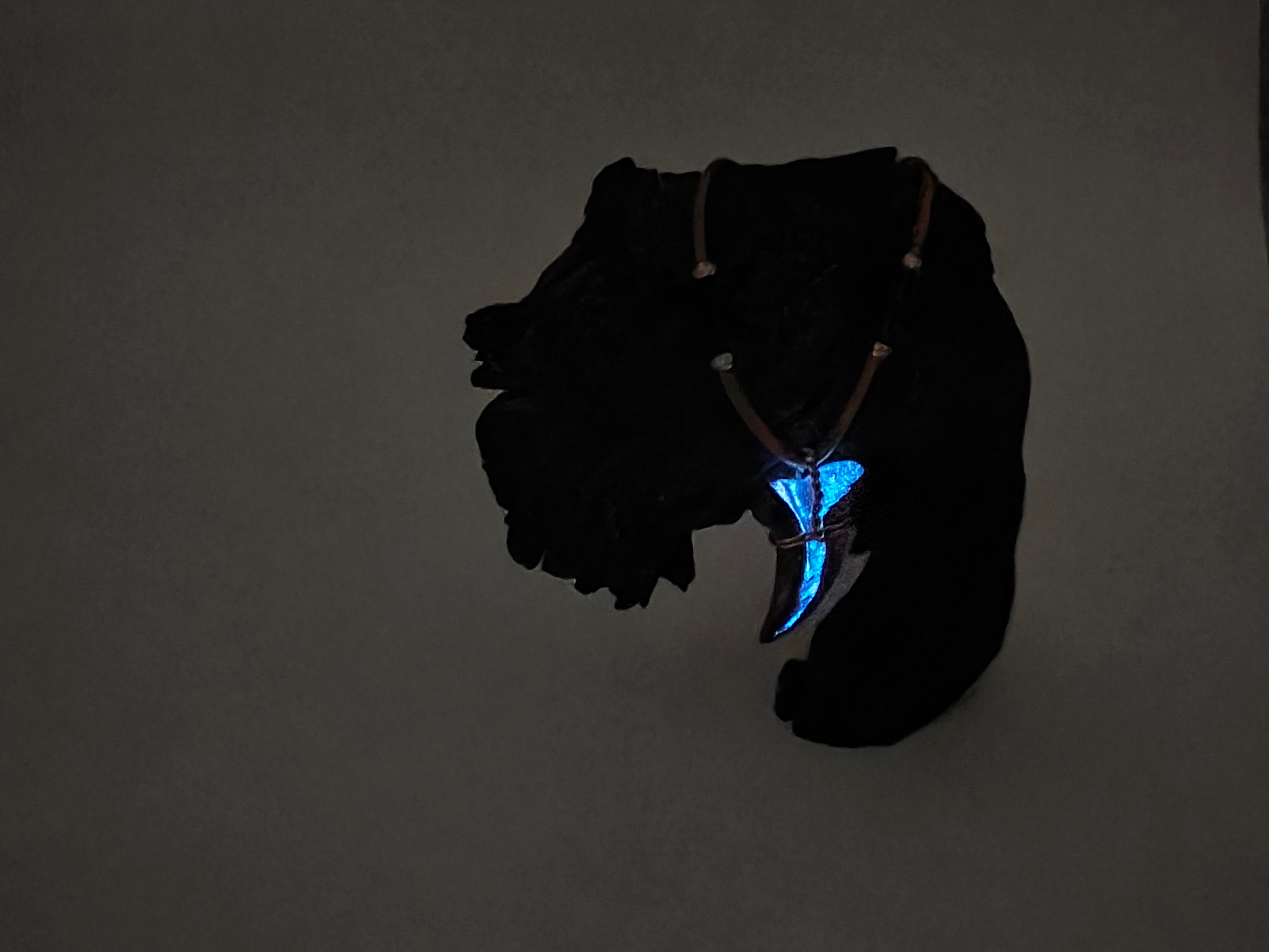 Interstellarer Riss | Glow-in-the-dark | Einzigartig geformte Fichte & Epoxidharz